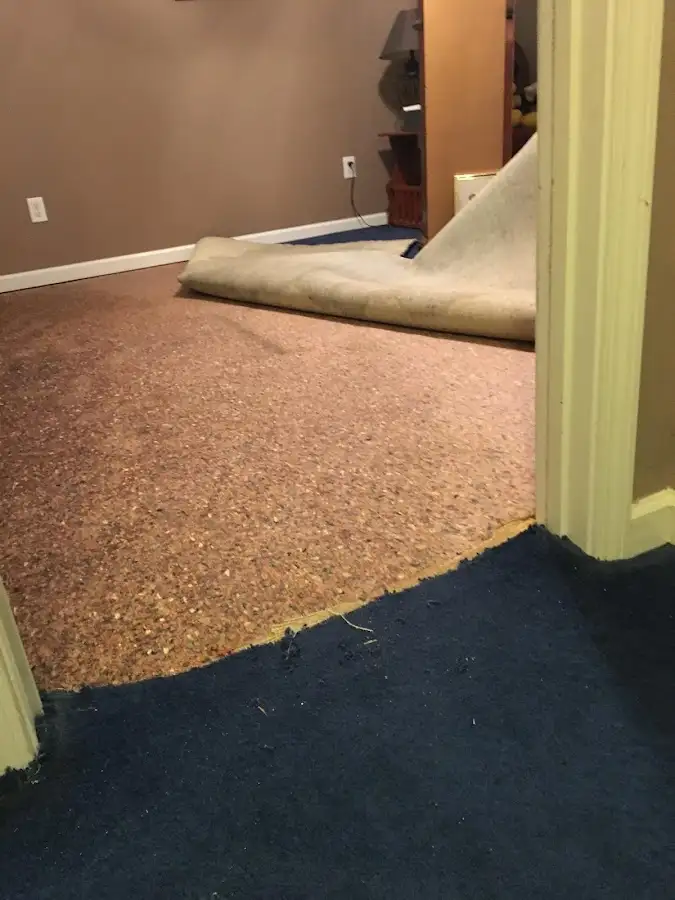 Carpet pad removal revealing water damage during Water Mitigation Services in Martinsville