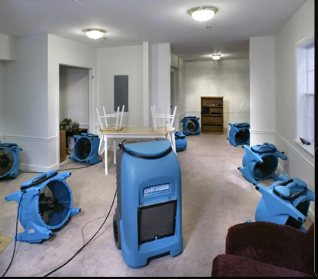 Air movers and dehumidifier setup for Water Extraction & Removal in Martinsville